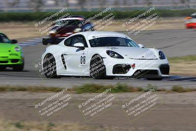 media/May-03-2024-PCA Central Coast (Fri) [[eaa7da0ee1]]/Red Group/Session 1 (Grapevine)/